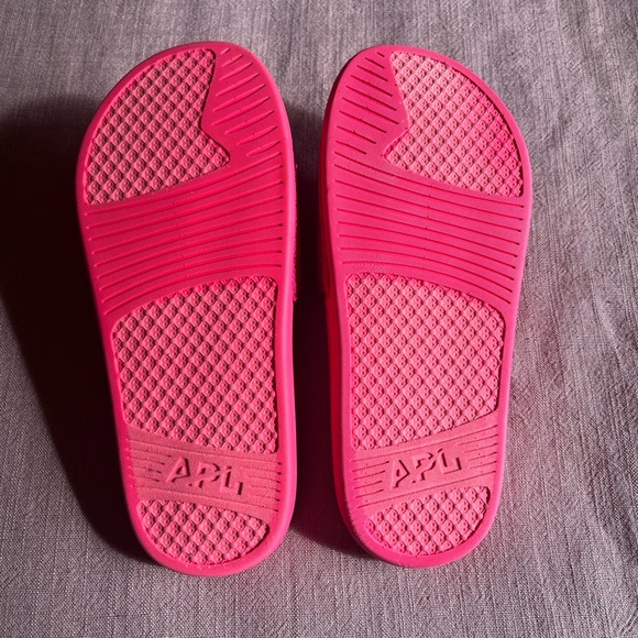 APL Slides - Picture 2 of 3